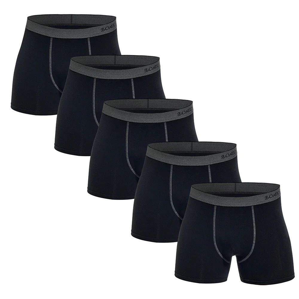 5pcs Pack Mens Panties Cotton Underwear Male Brand Boxer Briefs 2025 Underpants For Homme Luxury Shorts